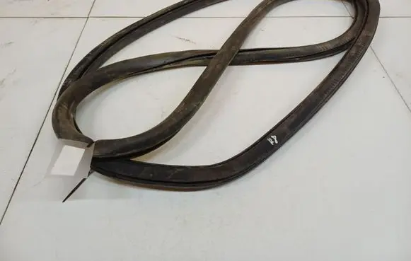 Volkswagen PASSAT B6 Rubber seal front coupe door
