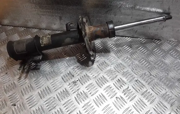 Opel Zafira B Front shock absorber/damper 22214012