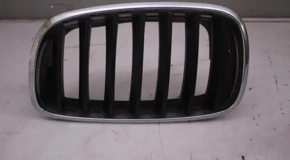BMW X6 E71 Front grill NERKA