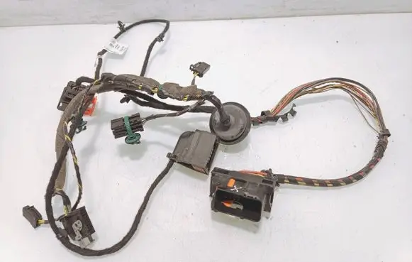Front door wiring loom