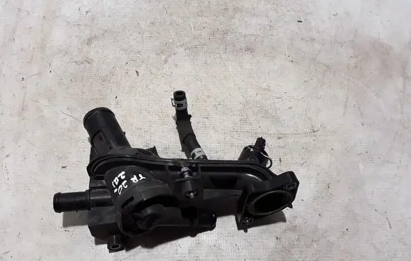 Thermostat/thermostat housing