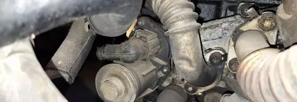 EGR valve