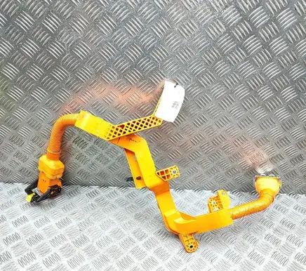 Genesis GV70 Other wiring loom 91663DS011