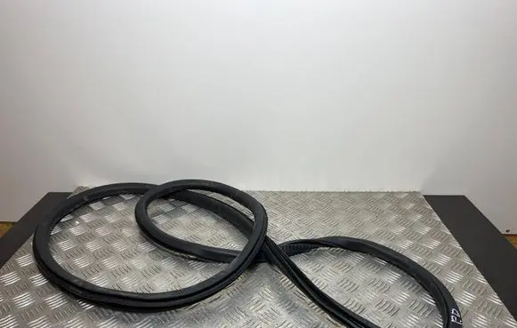 Fiat 500X Front door rubber seal