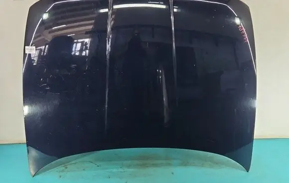 Engine bonnet/hood