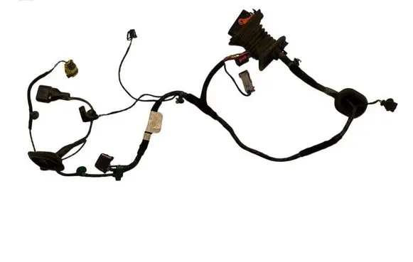 Rear door wiring loom