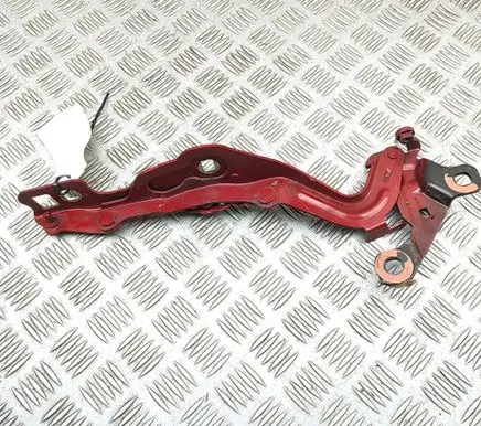 Ford Mustang Mach-E Engine bonnet/hood hinges LJ8BR16C964AE