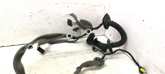 Renault Scenic III - Grand scenic III Front door wiring loom 241240221R 1040271 1812