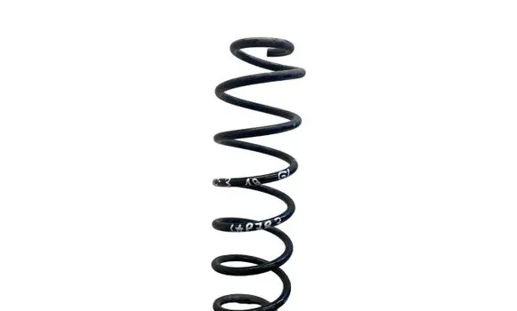 Rear coil spring