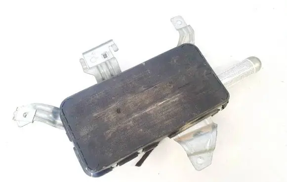 Front door airbag