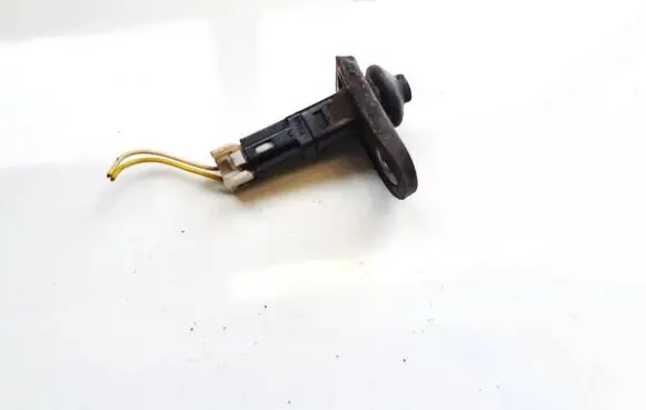 Hyundai Santa Fe Front door sensor 