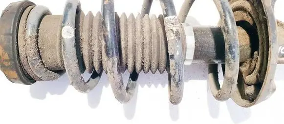 Front coil spring