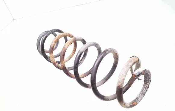 Rear coil spring