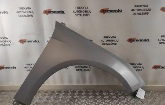 Ford Focus Fender