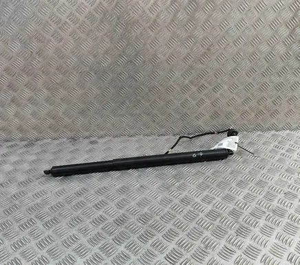 Ford Kuga III Tailgate/trunk strut/damper LV4BS402A54CA