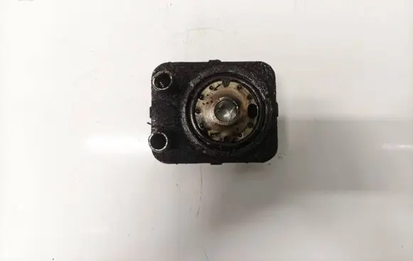 Volkswagen PASSAT B5.5 Engine oil radiator 