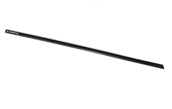 Rear door glass trim molding