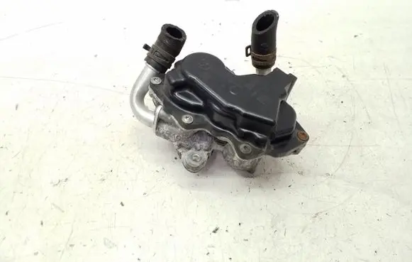 Volkswagen Jetta VI EGR valve 04L131501N V29055543