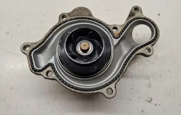 Porsche Cayenne (9Y0 9Y3) Water pump 06M121013