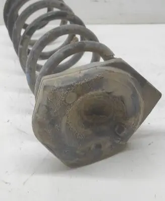 Rear coil spring