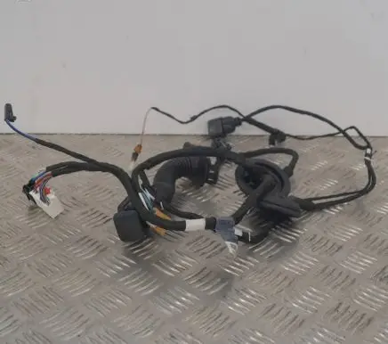 Audi A4 S4 B9 8W Other wiring loom 8W0971687AM