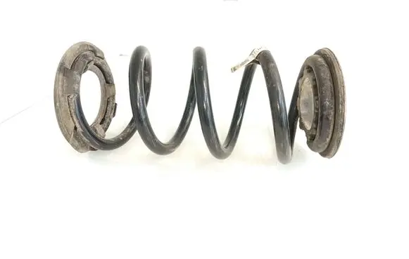 Rear coil spring