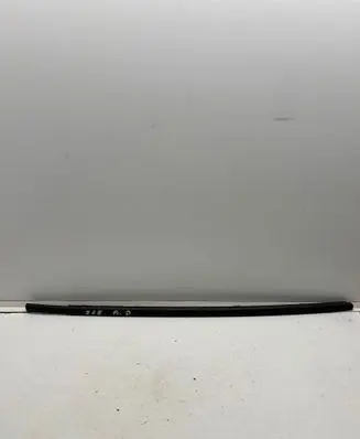 Renault Zoe Front door glass trim molding 