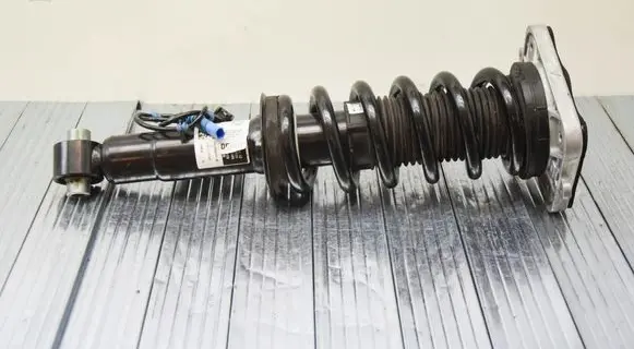 BMW X5 G05 Rear shock absorber/damper 6896442