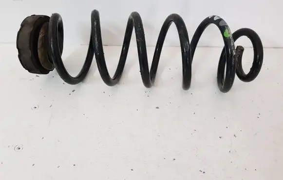 Rear coil spring