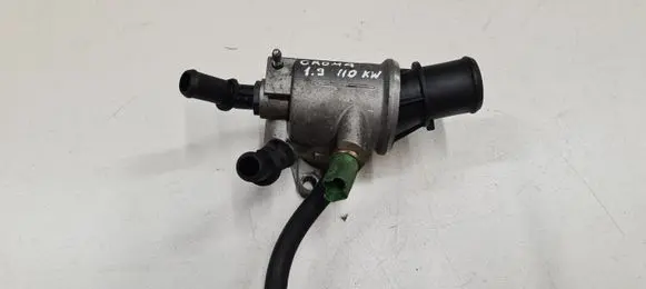 Thermostat/thermostat housing