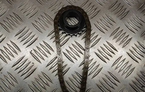 Renault Megane III Oil pump chain 313628