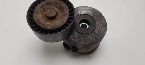 Citroen Nemo Generator/alternator belt tensioner 55222539