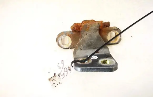 Renault Laguna I Rear door lower hinge