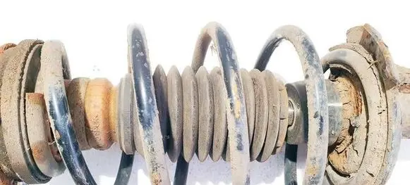 Front coil spring