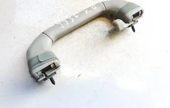 Chrysler Pacifica Rear interior roof grab handle