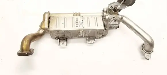 Toyota RAV 4 (XA40) EGR valve cooler 256010R020