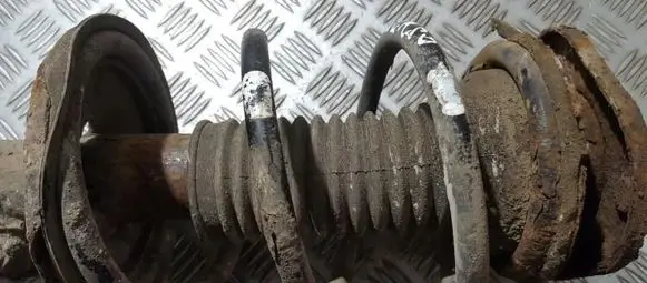 Toyota Corolla Verso AR10 Front coil spring