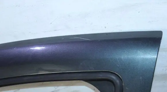 Dacia Sandero Front door
