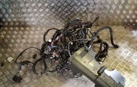 Engine installation wiring loom