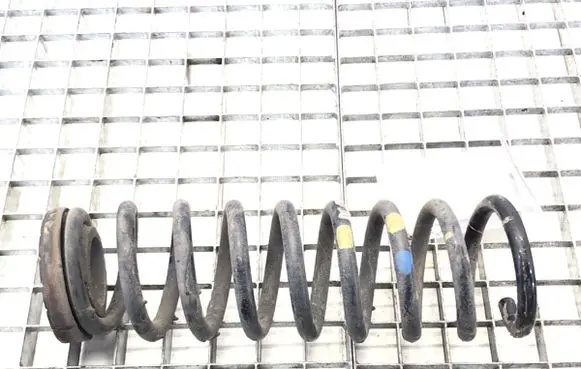 Rear coil spring