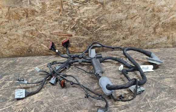 Front door wiring loom