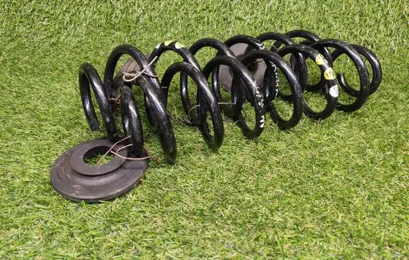 Rear coil spring