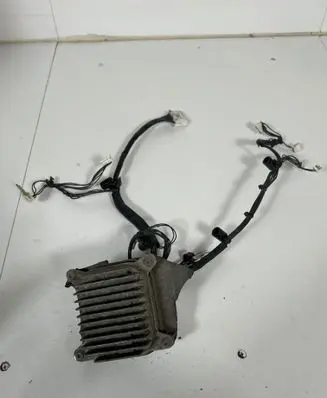 Tesla Model Y Light module LCM P153292502C