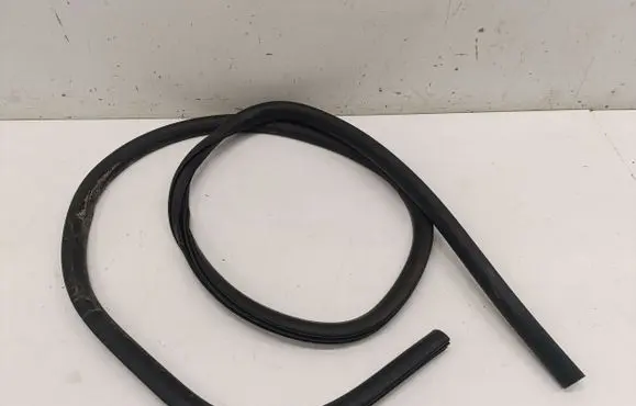 Ford Mustang Mach-E Rear door rubber seal (on body) 