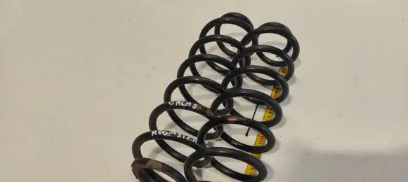 Skoda Roomster (5J) Rear coil spring