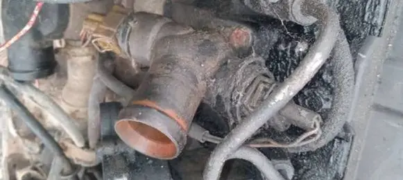 Volkswagen Transporter - Caravelle T4 Engine coolant pipe/hose