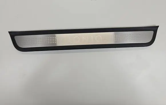 Hyundai Ioniq Front sill trim cover 85873G2500