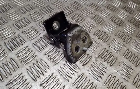 Citroen DS4 Front door lower hinge 