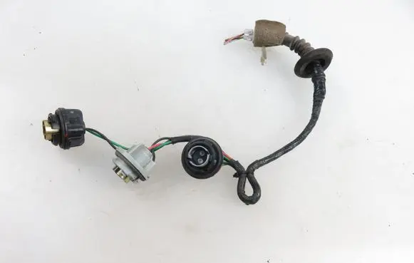 Nissan Pathfinder R50 Tail light bulb cover holder