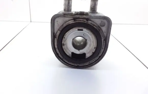 Peugeot 406 Oil filter mounting bracket 9650863380